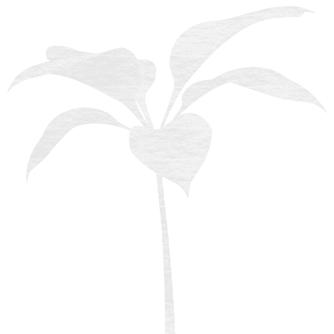 Transparent Aesthetic Abstract Plant Silhouette Design