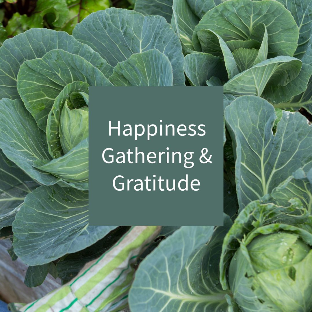 Thanksgiving Message on Cabbages Reflecting Harvest and Gratitude