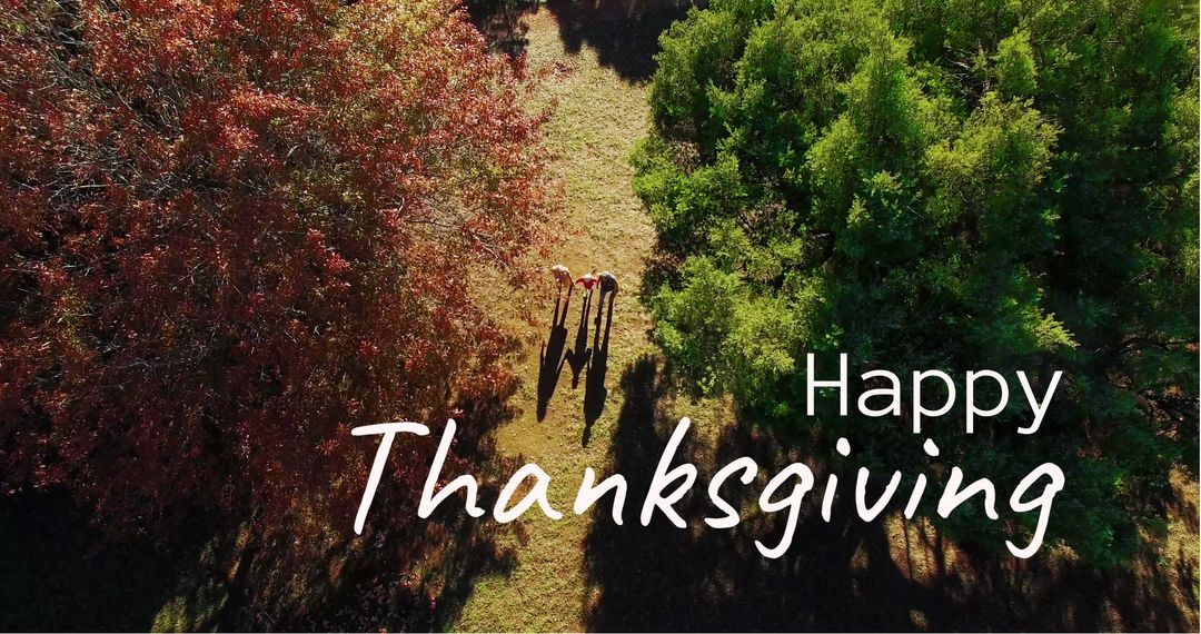 Aerial View with 'Happy Thanksgiving' Text over Scenic Autumn Trees