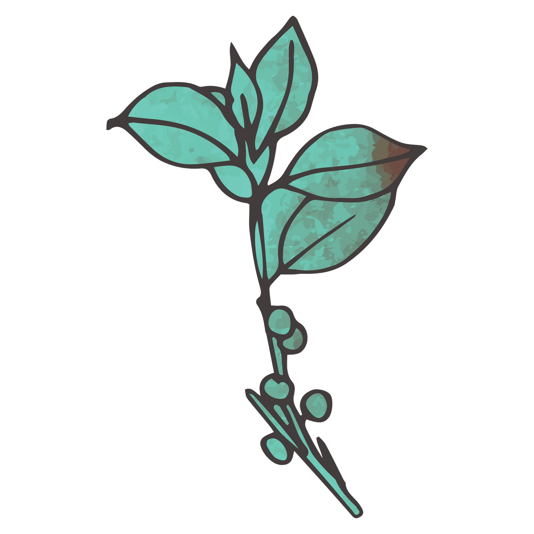Stylized leaves and twig on transparent background