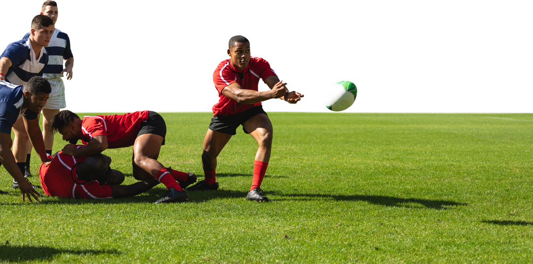 Transparent Dynamic Diverse Male Rugby Players in Game Action - Download Free Stock Images Pikwizard.com