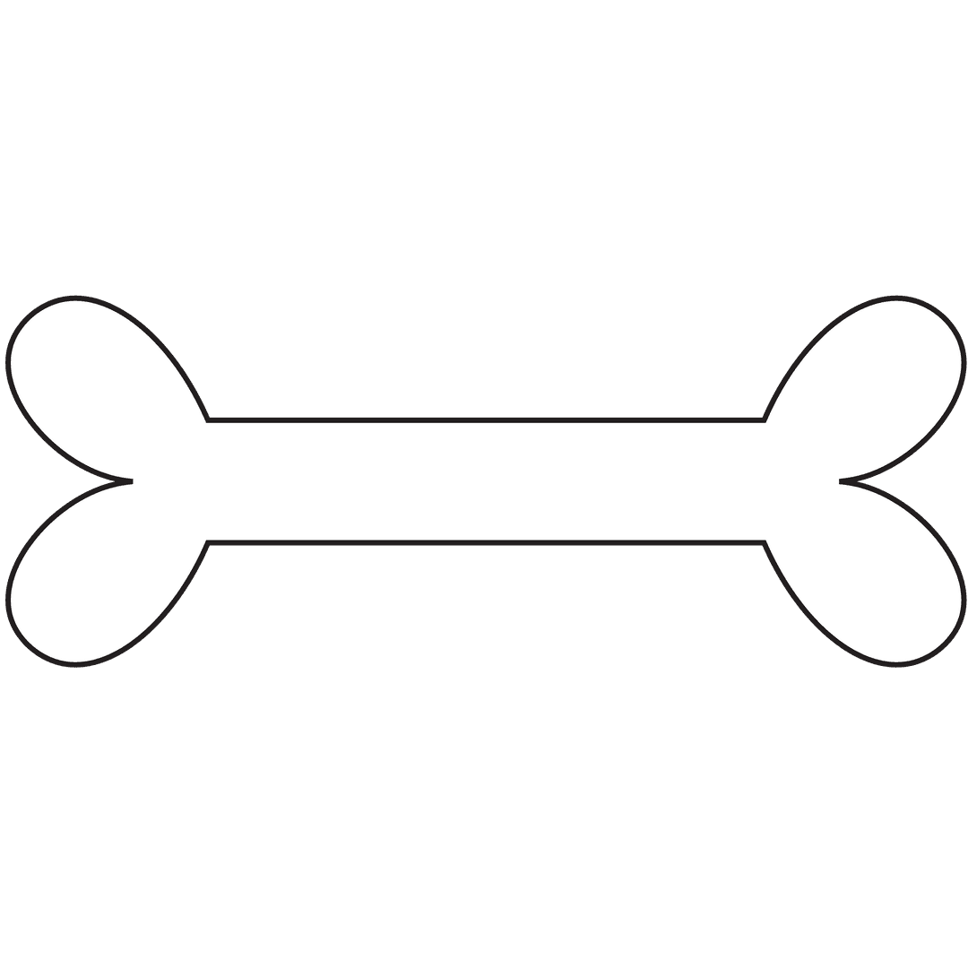 Delicate White Bone Illustration Transparent Background