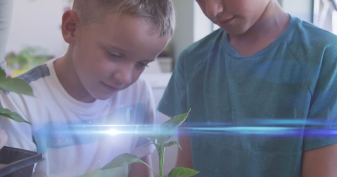 Children Engaged in Botanical Learning with Light Trails Effect