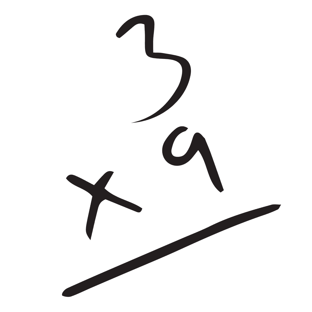 Vectored Multiplication Equation on Transparent Background