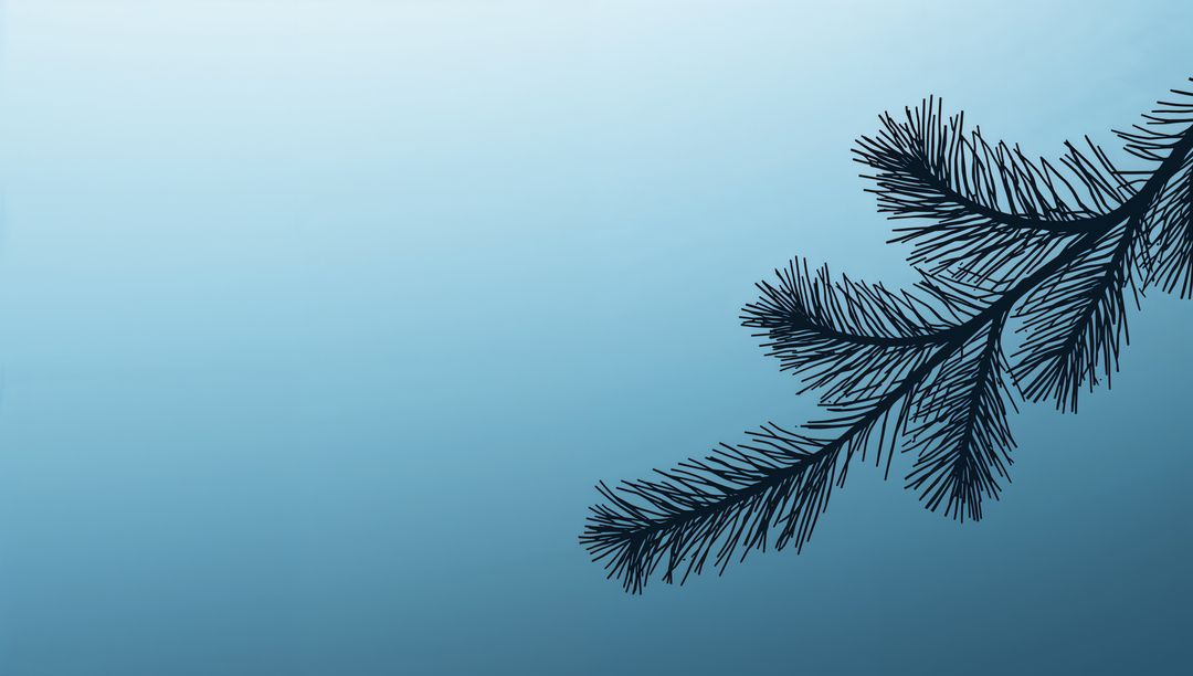 Pine Branch Silhouette Extending Over Soft Blue Gradient Background with Generous Copy Space