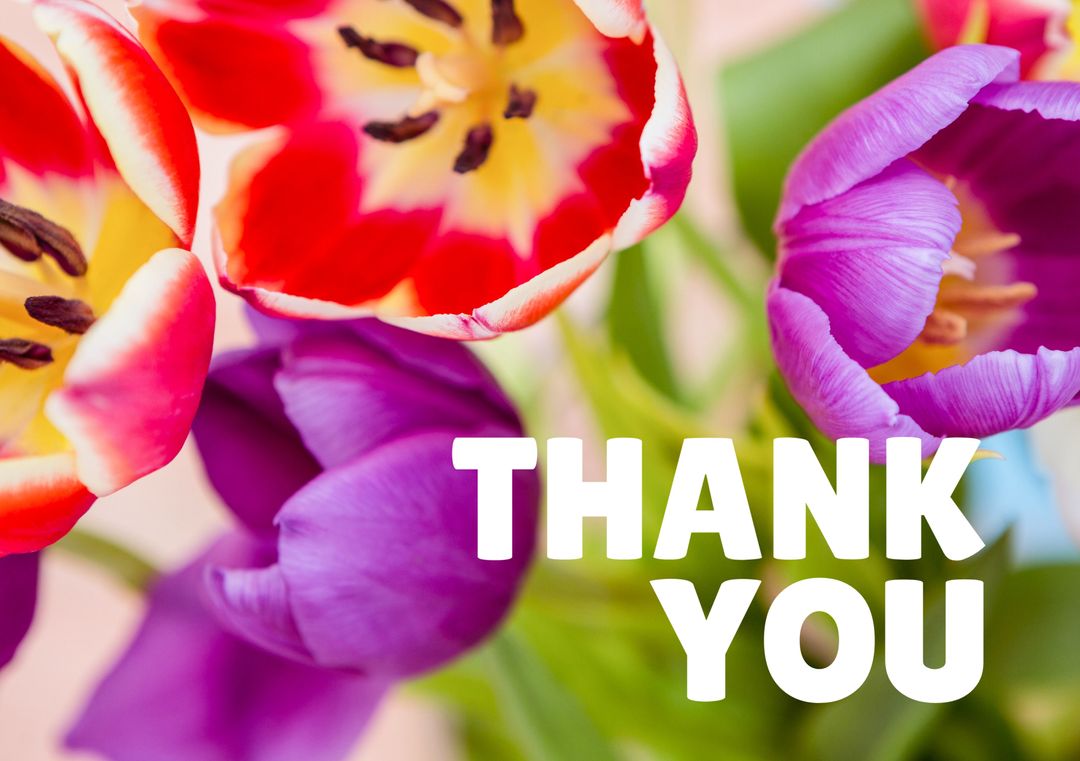Colorful Tulips and Thank You Message on Floral Background