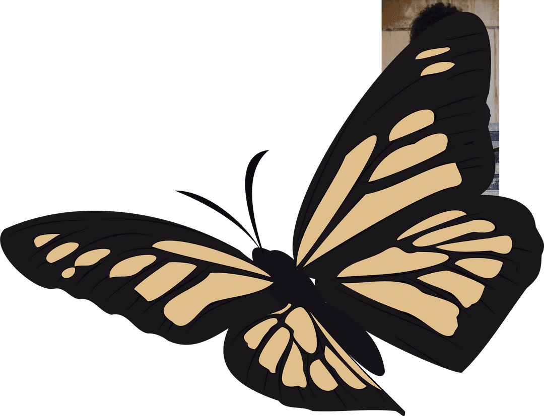 Elegant Butterfly with Transparent Wings on Clear Background