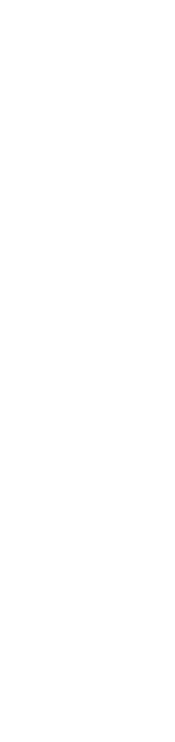 Silhouette Woman on Transparent Background in Business Attire