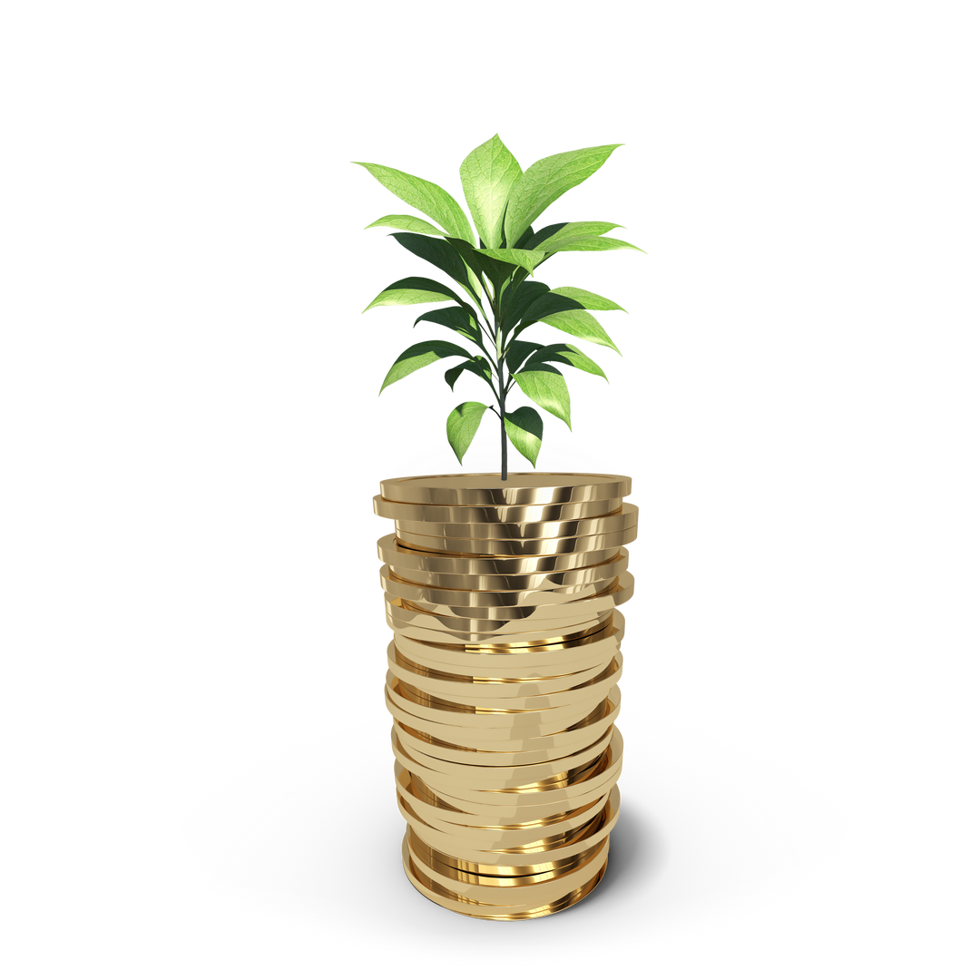 Transparent Plant Growing On Stack of Coins Abundance Concept Illustration - Download Free Stock Images Pikwizard.com