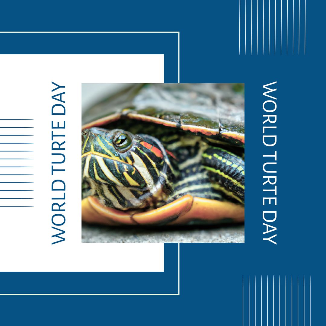 Celebrating World Turtle Day with Colorful Close-up of Tortoise