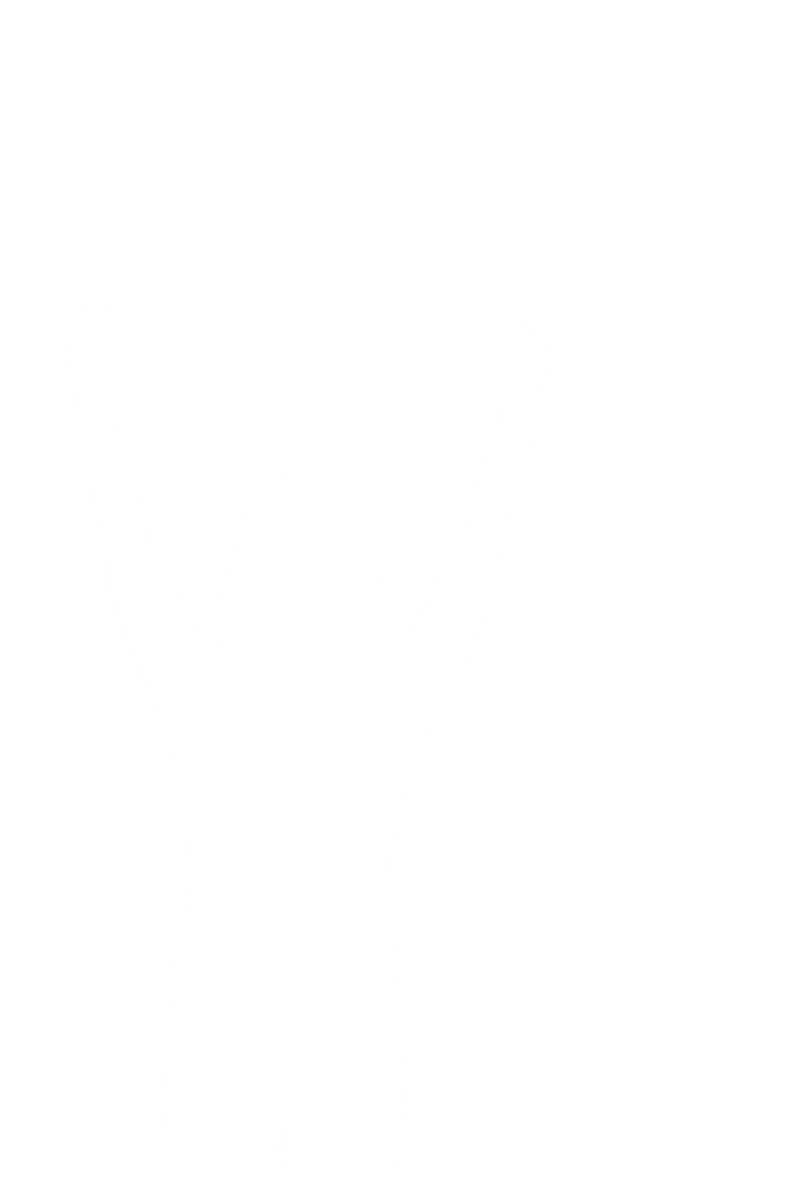 Silhouette of Woman Raising Hands for Joy on Transparent Background - Download Free Stock Images Pikwizard.com