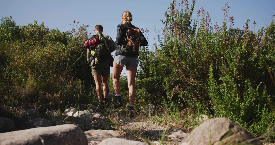 Adventurous Hikers Trekking Through Dense Wilderness Trail