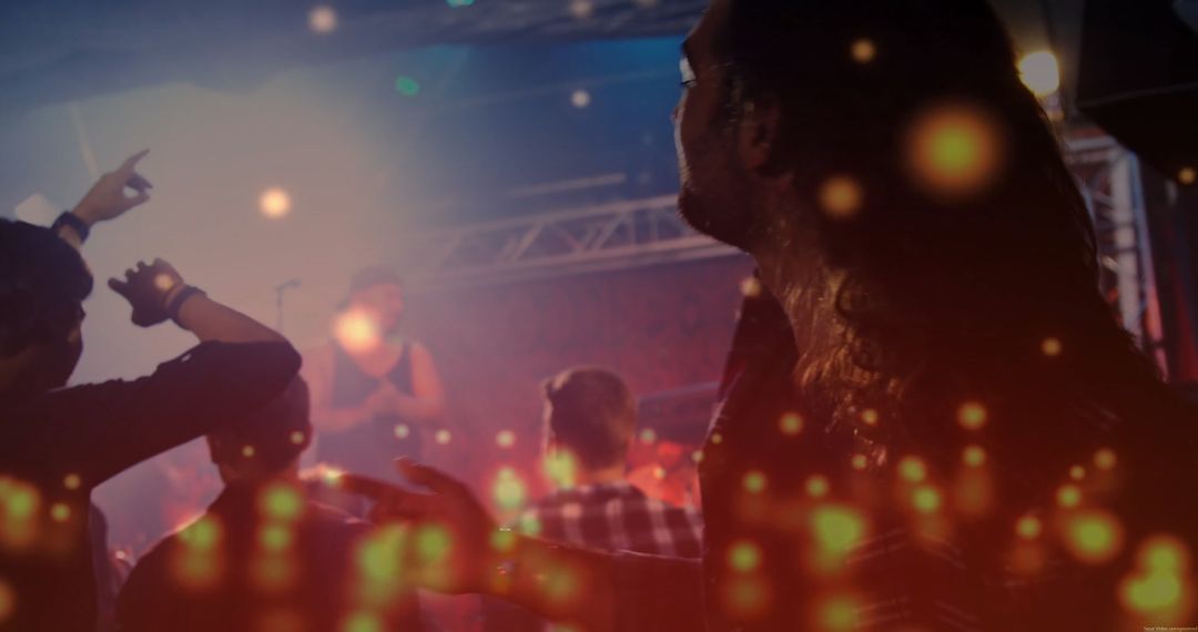 Concert Crowd Enjoying Vibrant Live Music Experience