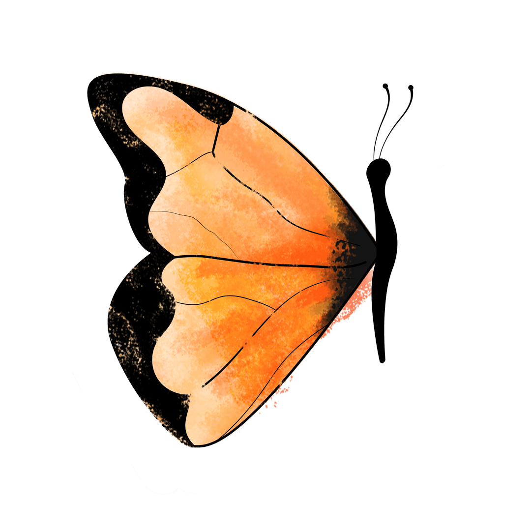 Elegant Half Orange Butterfly with Transparent Background