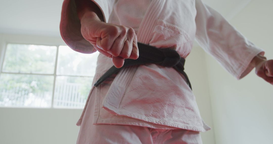 Martial Artist Standing in Ready Position in Karate Uniform - Free Images, Stock Photos and Pictures on Pikwizard.com