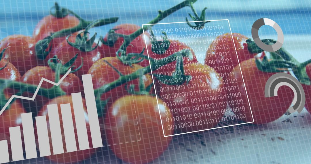 Digital Agriculture Data on Fresh Cherry Tomatoes Analytics Technology