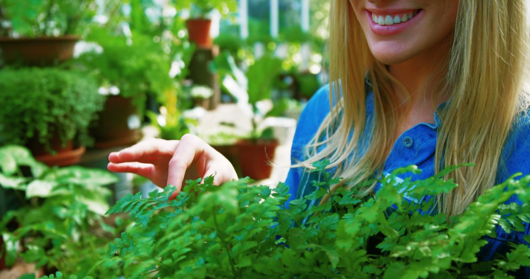 Young Woman Gardening in Lush Greenhouse, Touching Plants - Free Images, Stock Photos and Pictures on Pikwizard.com