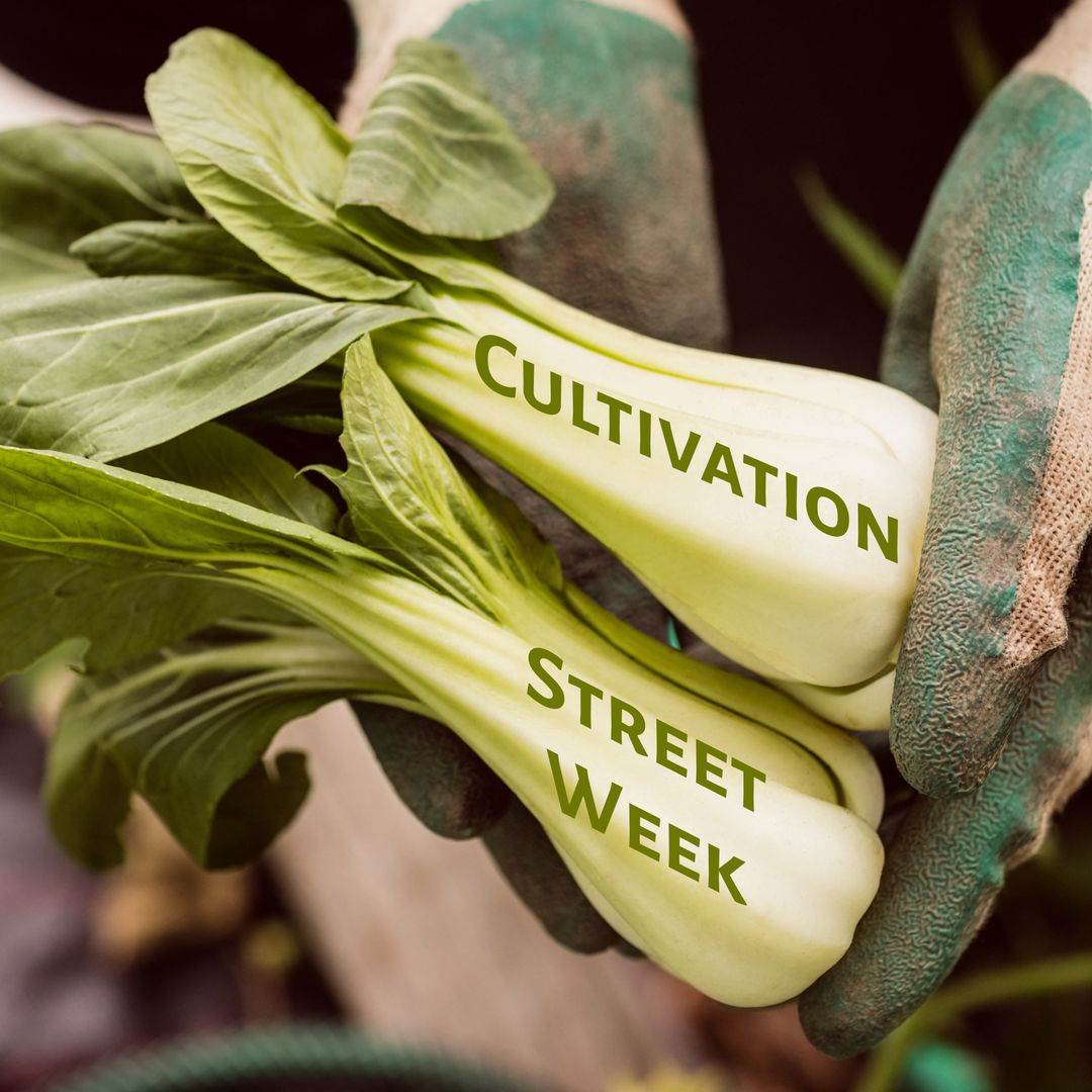 Gardener Holding Fresh Bok Choy with Cultivation Street Week Text