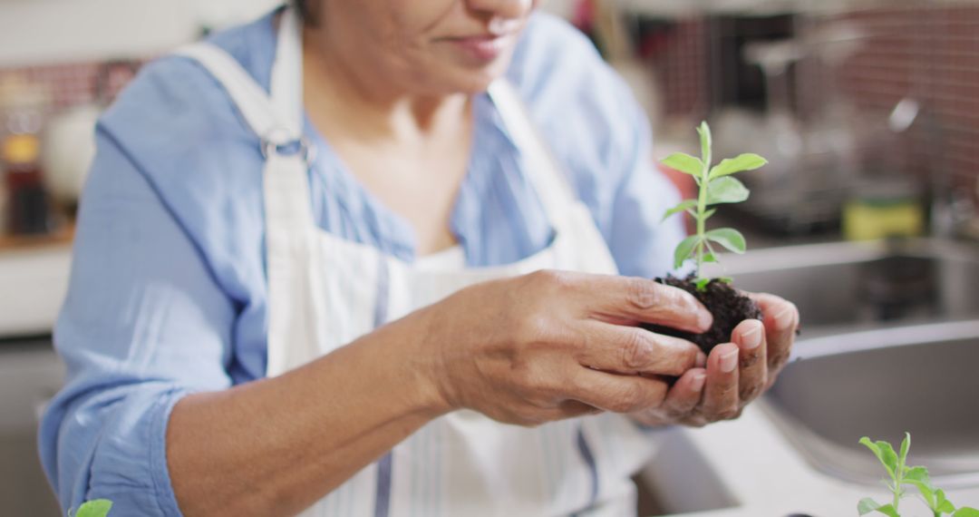 Asian senior woman holding a plant sampling at home - Free Images, Stock Photos and Pictures on Pikwizard.com