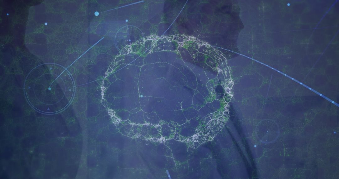 Digital Human Brain Spinning Over Global Network Connections