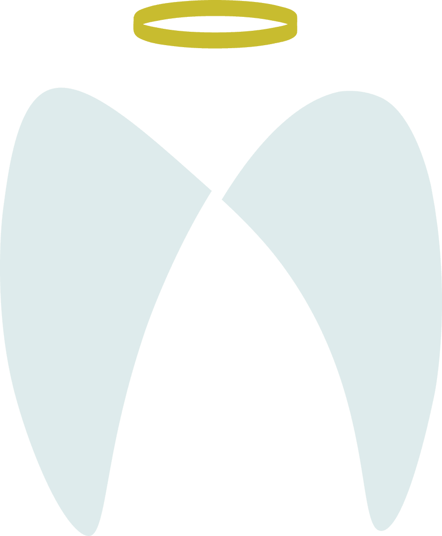 Transparent Angel Wings with Halo Icon Abstract