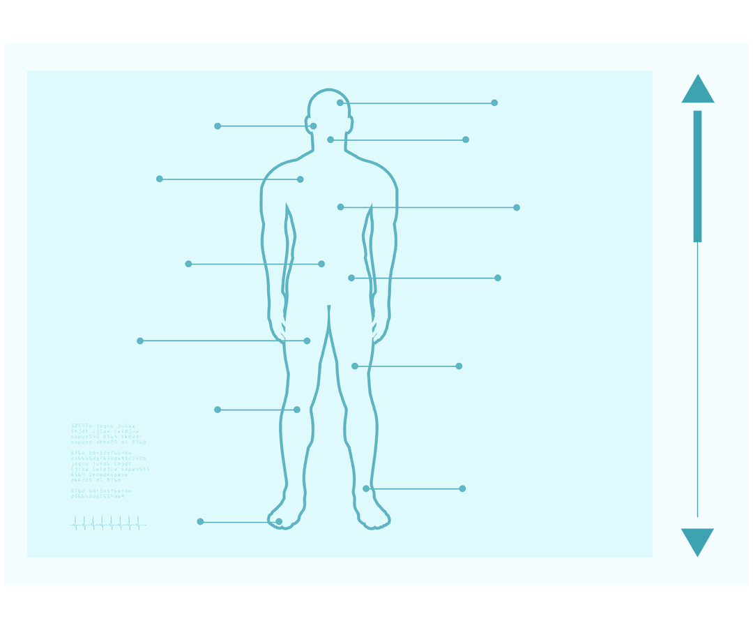 Transparent Human Body Diagram with Indicators