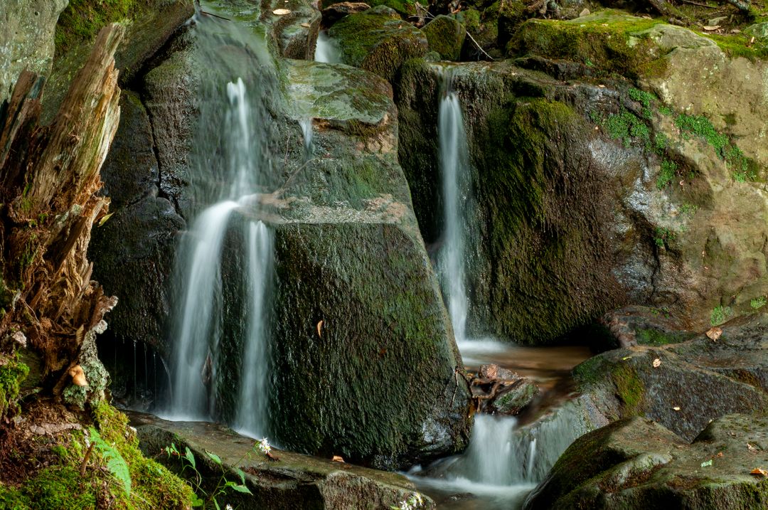Serene Forest Waterfall Flowing Over Mossy Rocks