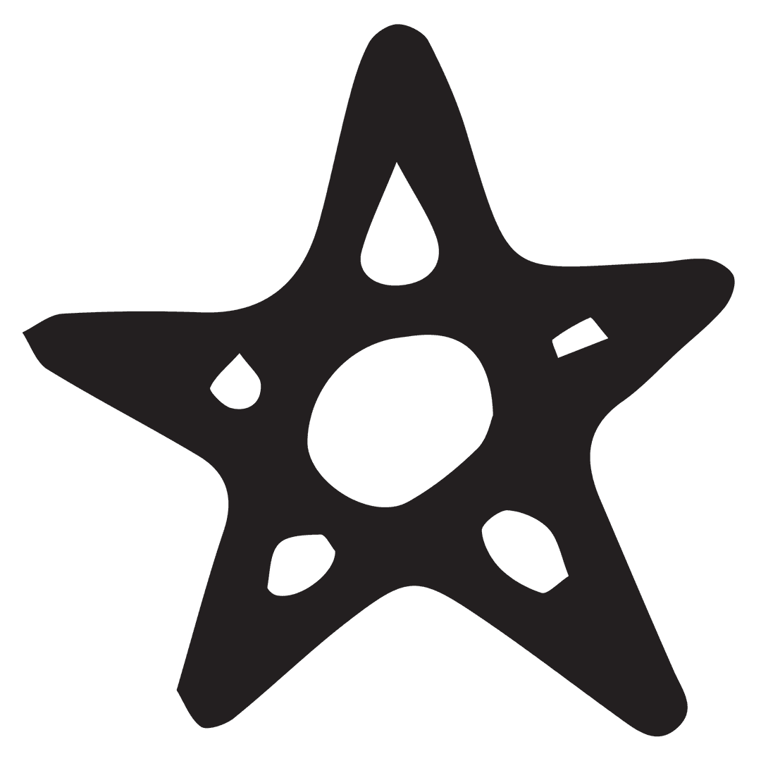 Silhouette of Transparent Ninja Star Shape Icon