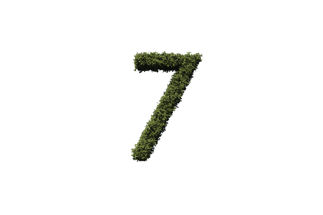 Transparent Green Grass Number Seven Illustration