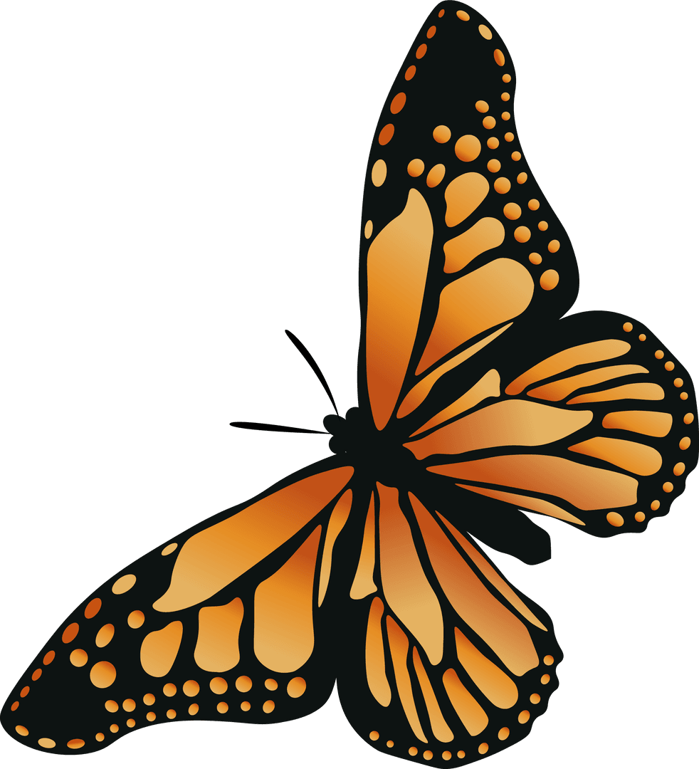 Monarch Butterfly Vector with Transparent Background Showing Elegance
