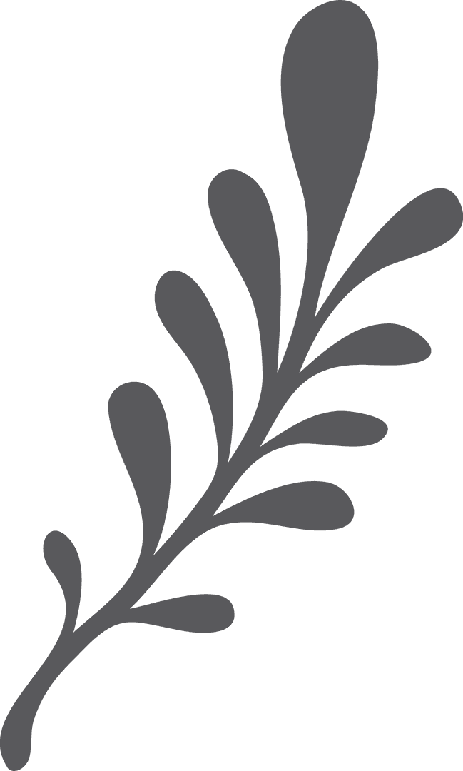 Transparent Grey Leaf Branch Illustration for Nature Designs