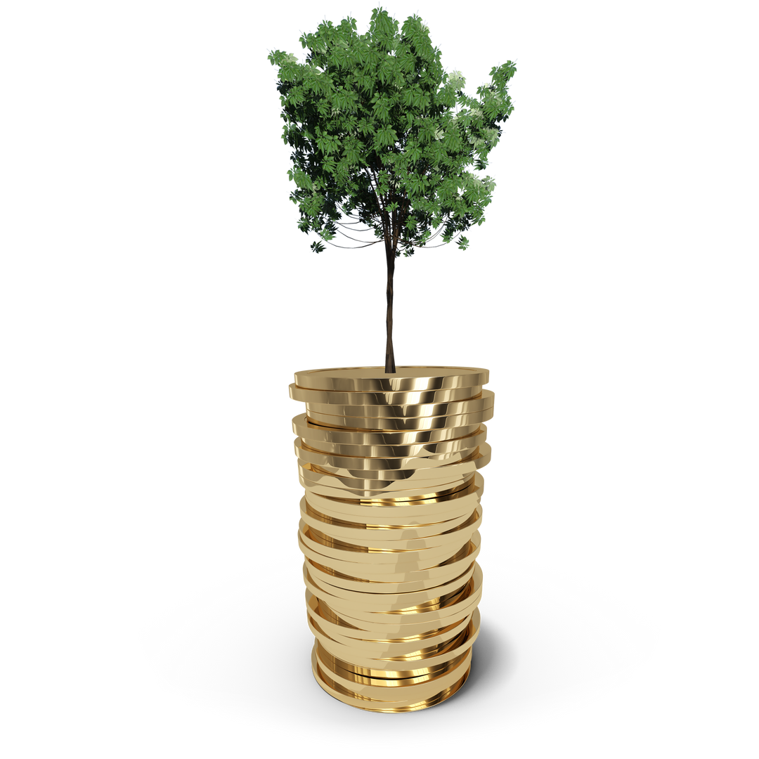 Tree Growing on Golden Coins Heap Transparent Concept Illustration - Download Free Stock Images Pikwizard.com