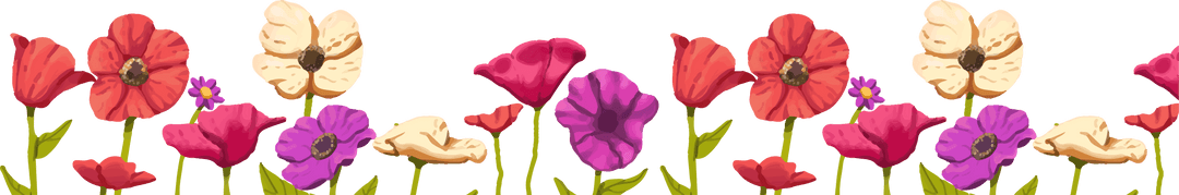 Vibrant Floral Wildflower Border on Transparent Background