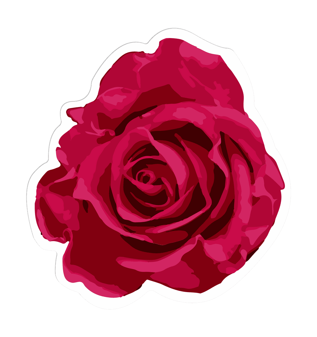 Red Rose Floral Illustration with Transparent Background for Graphic Design
