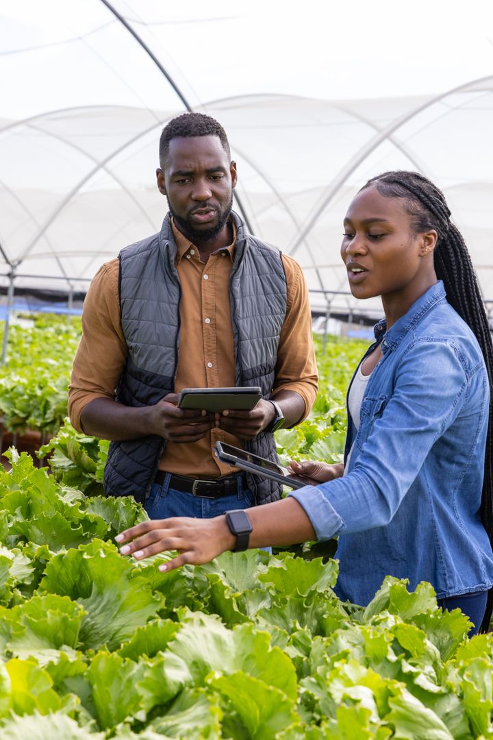 Professionals Using Technology for Agricultural Innovation in Greenhouse