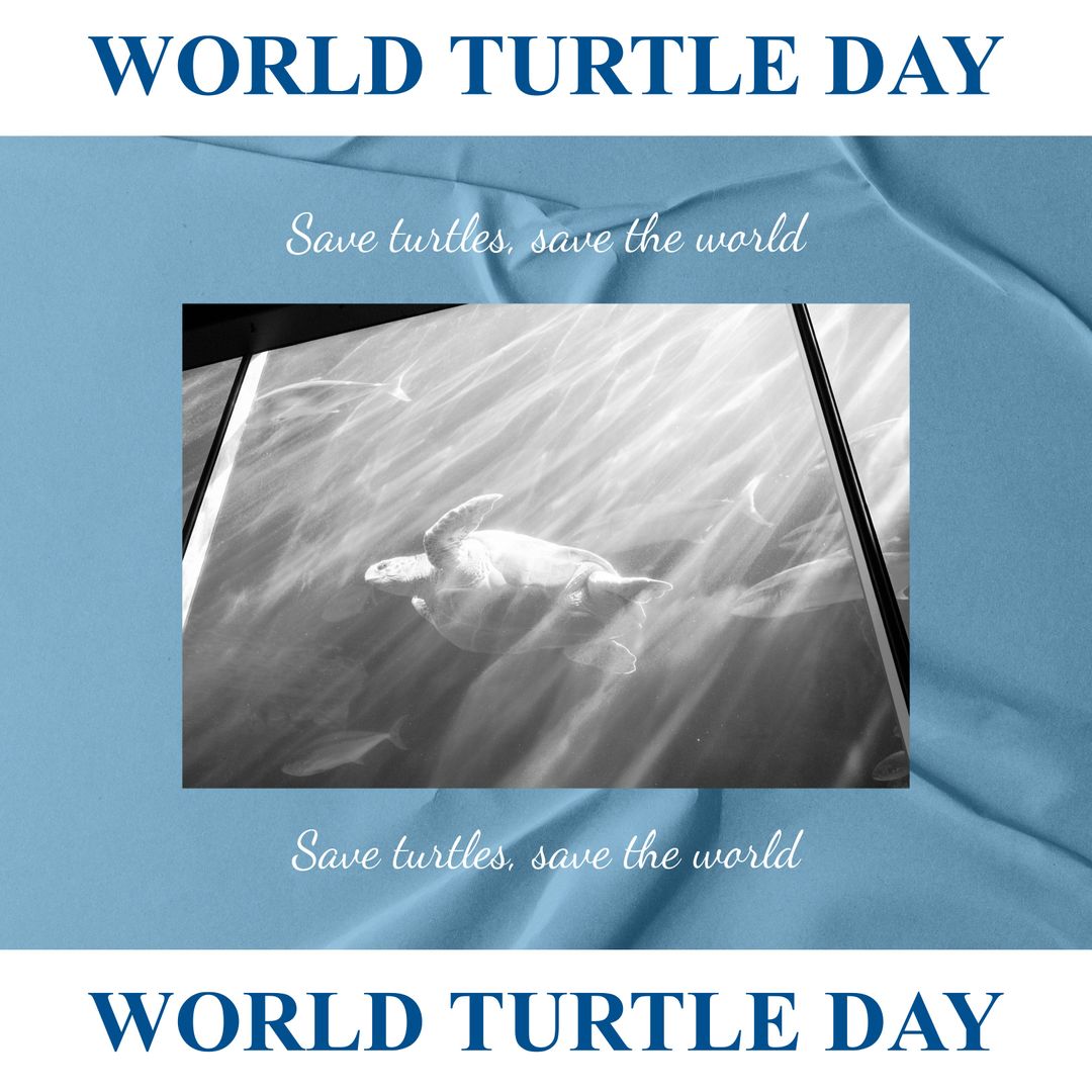 Celebrating World Turtle Day with Peaceful Underwater Turtle