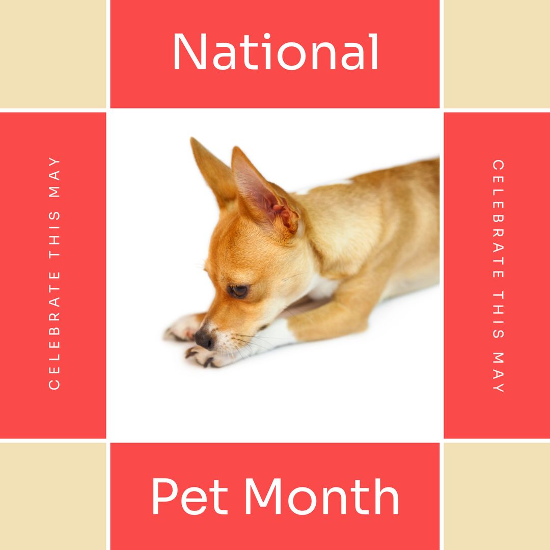 Cute Puppy Promoting National Pet Month Celebration - Download Free Stock Templates Pikwizard.com