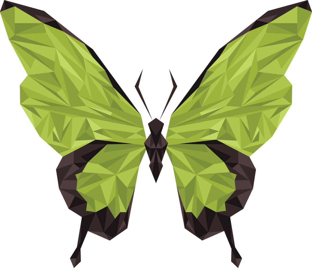 Bright Green Geometric Butterfly Vector on Transparent Background - Download Free Stock Images Pikwizard.com