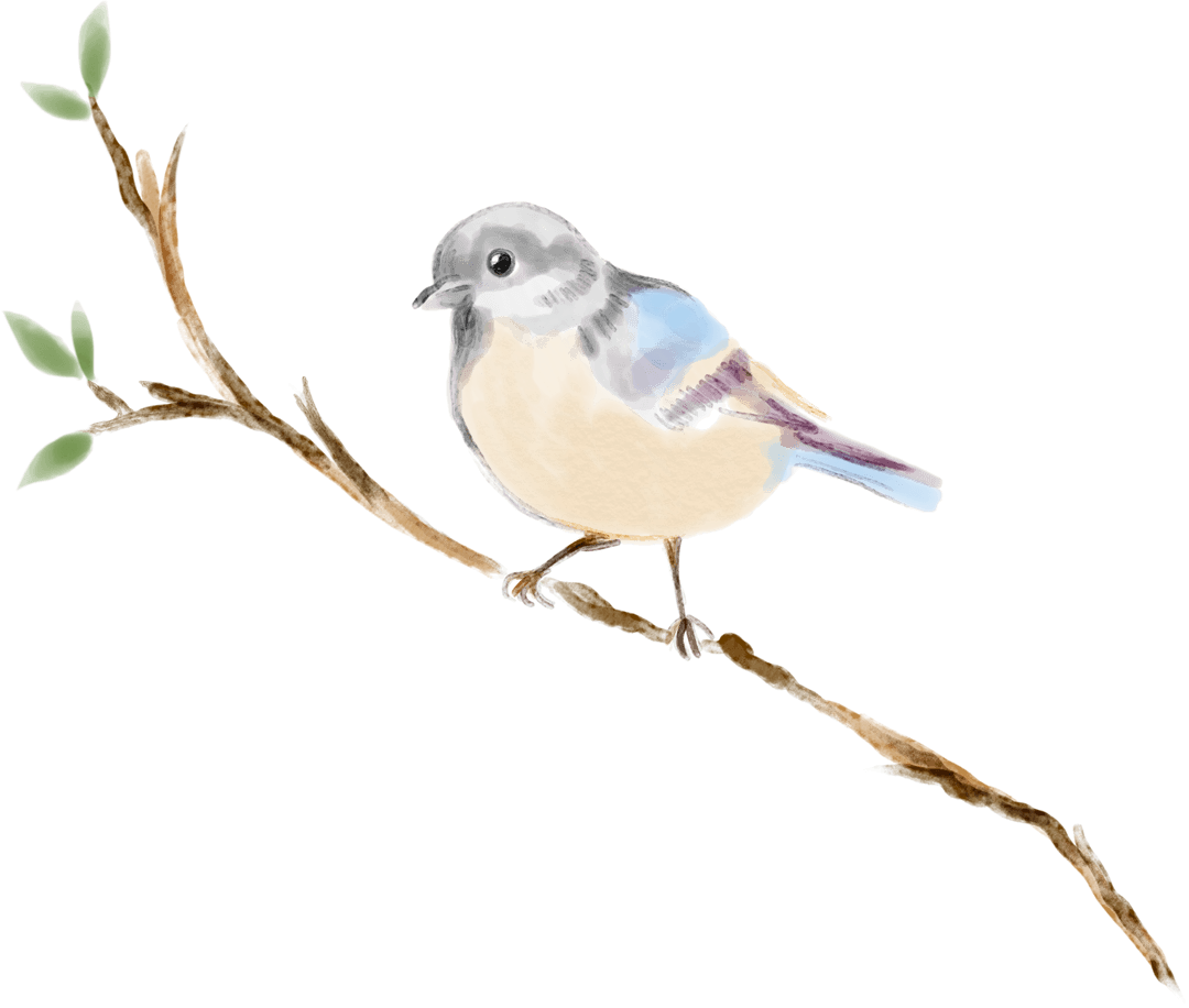 Transparent Watercolor Bird Perching on Branch