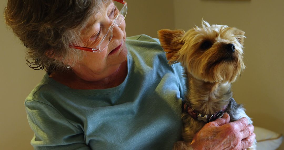 Senior Woman with Small Dog Enjoying Bonding Time at Home - Free Images, Stock Photos and Pictures on Pikwizard.com