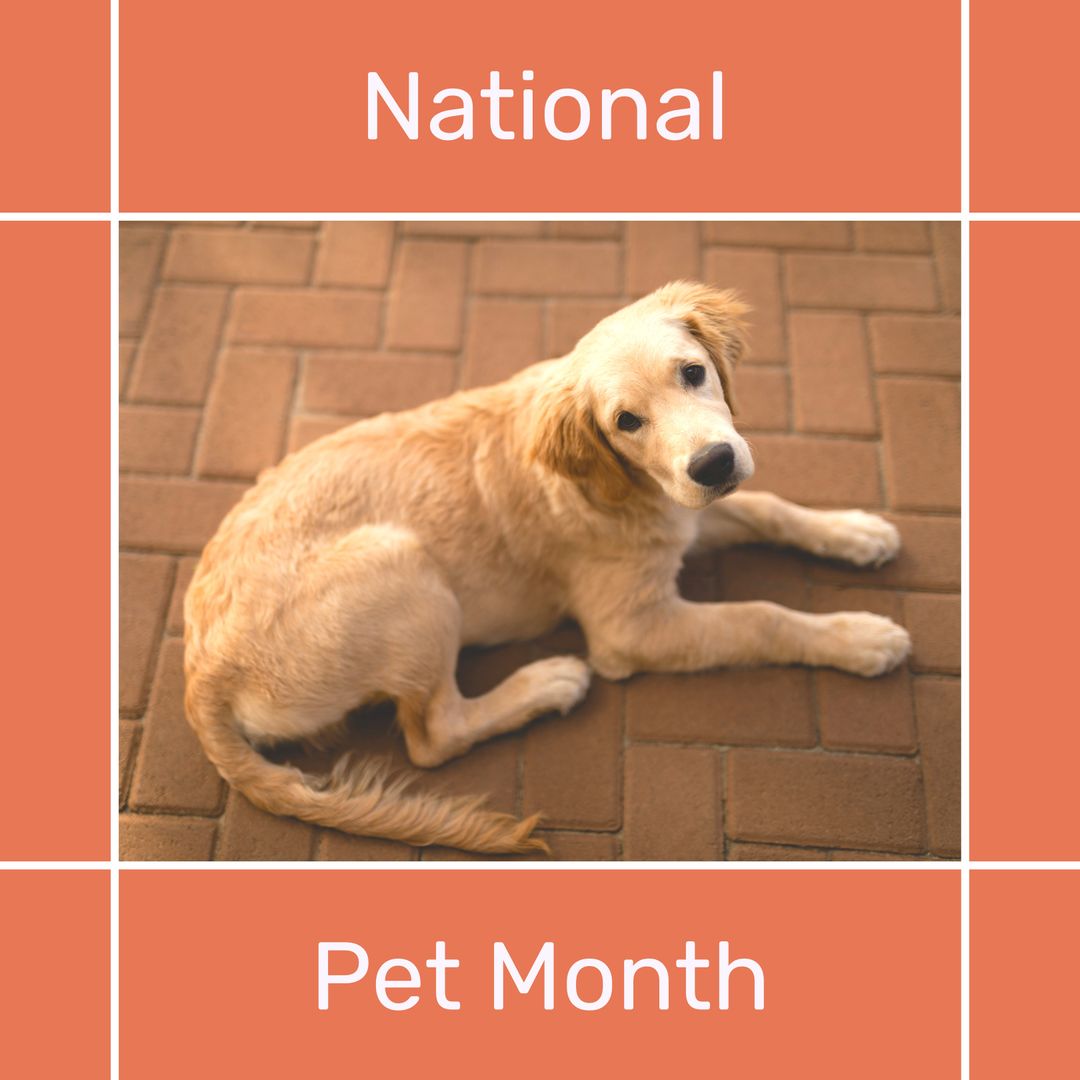 Golden Retriever Puppy Celebrating National Pet Month