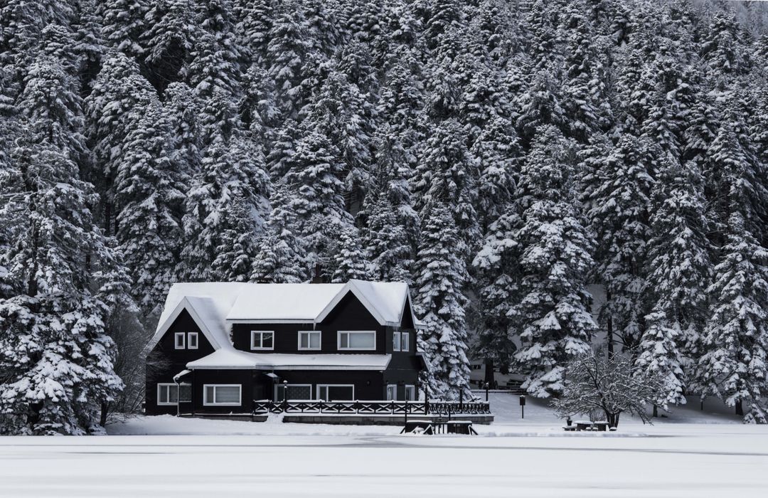 Snow-covered forest house with pine trees in winter - Free Images, Stock Photos and Pictures on Pikwizard.com