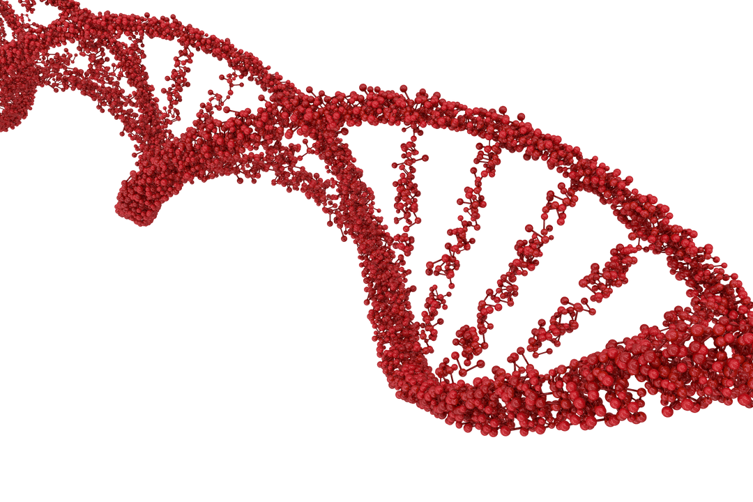 Red DNA Helix on Transparent Background Illustrating Genetic Concepts