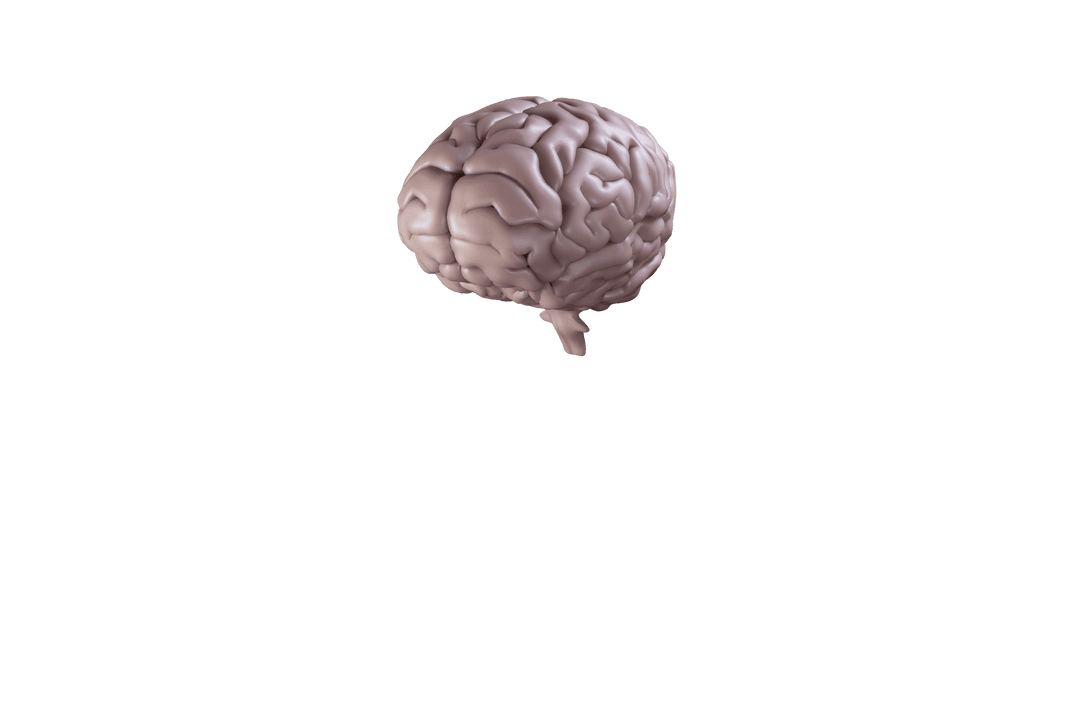 Digital Illustration of Pink Brain on Transparent Background