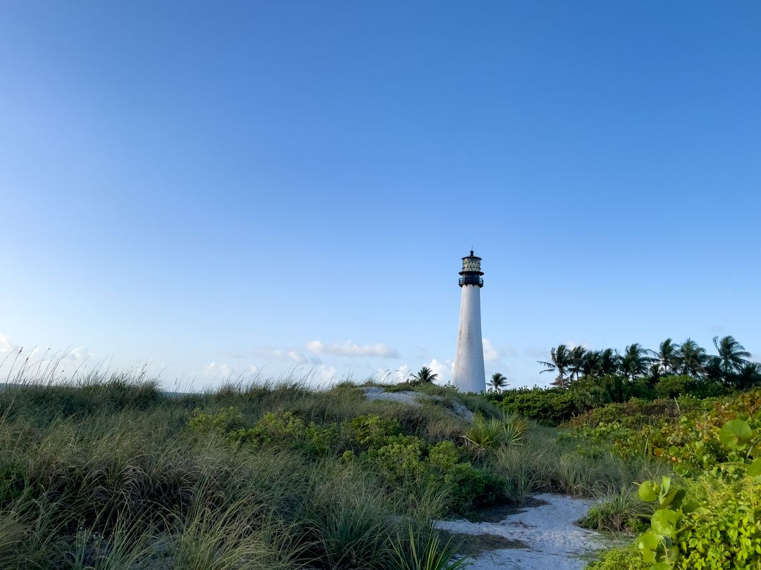 Lighthouse Towering Above Coastal Dunes on Clear Day
