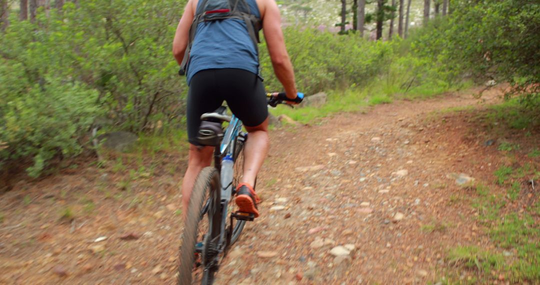 Cyclist Riding on Rocky Forest Trail - Free Images, Stock Photos and Pictures on Pikwizard.com