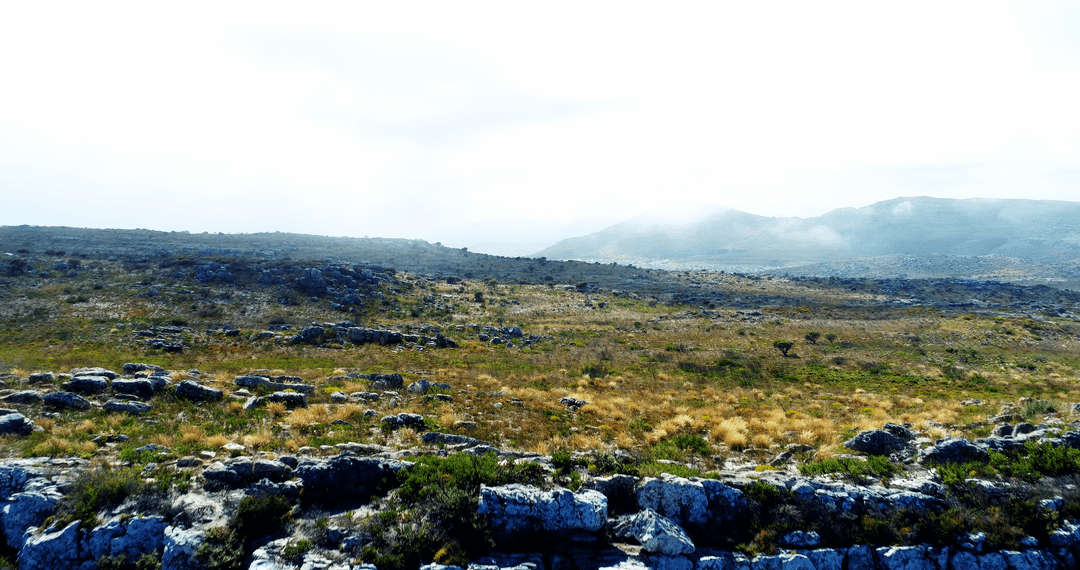 Transparent Fog Hovering Over Rocky Landscape with Bushes