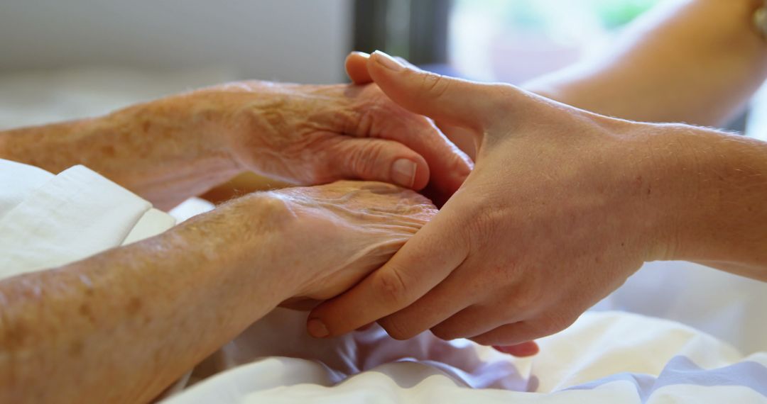 Senior Caregiver Holding Elderly Hand in Support - Free Images, Stock Photos and Pictures on Pikwizard.com