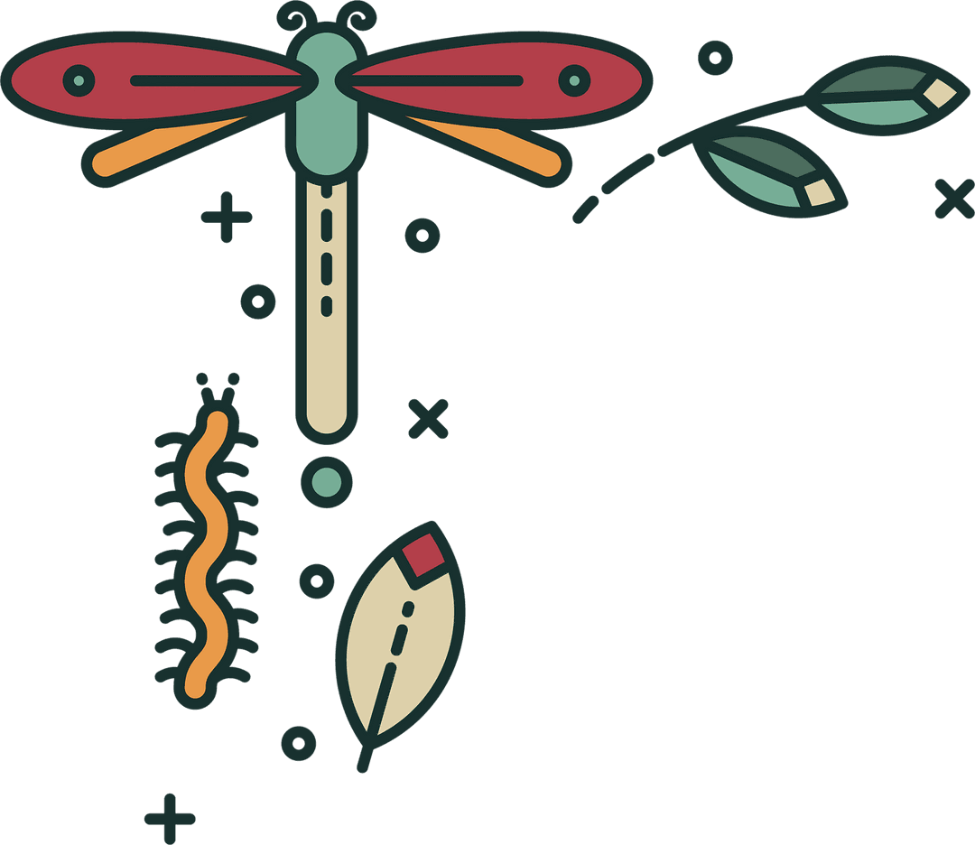 Nature Scene with Dragonfly and Worm Illustration on Transparent Background