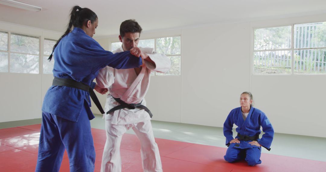 Judo Practitioners Engaged in Training Session in Dojo - Free Images, Stock Photos and Pictures on Pikwizard.com